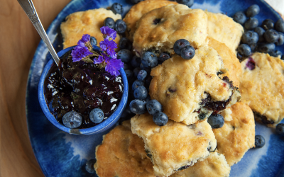 BLUEBERRY-BUTTERMILK BISCUITS WITH LEMON GLAZE 