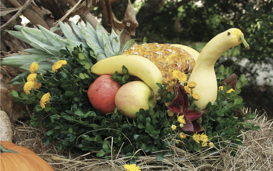FRUIT AND VEGETABLE TURKEY